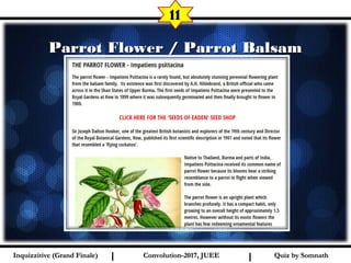 I I
Parrot Flower / Parrot BalsamParrot Flower / Parrot Balsam
11
Quiz by SomnathQuiz by SomnathInquizzitive (Grand Finale)Inquizzitive (Grand Finale) Convolution-2017, JUEEConvolution-2017, JUEE
 