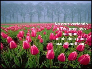 Na cruz vertendo o Teu precioso sangue,  minh'alma pode assim purificar.  