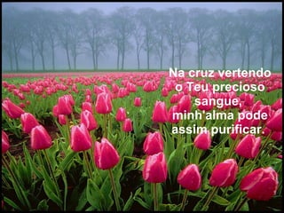 Na cruz vertendo o Teu precioso sangue,  minh'alma pode assim purificar.  