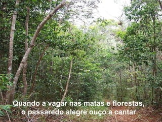 Quando a vagar nas matas e florestas,  o passaredo alegre ouço a cantar  
