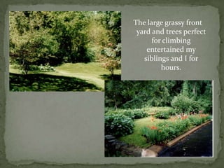 The large grassy front yard and trees perfect for climbing entertained my siblings and I for hours.