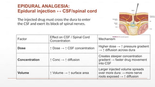 Pharmacology and Placental Drug Transfer in Obstetric Patients | PPTX