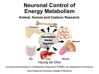 Neuronal Control of
Energy Metabolism
Hyung Jin Choi
Functional Neuroanatomy of Metabolism Regulation (FNMR) Lab, Department of Anatomy,
Seoul National University College of Medicine 1
Animal, Human and Cadaver Research
 