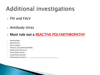  FIV and FeLV
 Antibody titres
 Must rule out a REACTIVE POLYARTHROPATHY
 Haematology
 Biochemistry
 Urine analysis
 Thoracis and abdomenal RADs
 Abdominal ultrasound
 Urine/blood culture
 Lymphnode aspirates
 Inflammatory proteins - ______________________________________
 