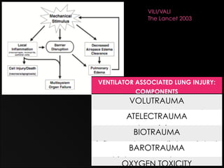 VILI/VALI
              The Lancet 2003




VENTILATOR ASSOCIATED LUNG INJURY:
           COMPONENTS
         VOLUTRAUMA
    overdistension (High EIV)
        ATELECTRAUMA
            damage
           shear injury
          BIOTRAUMA
inflammatory mediator-related
         BAROTRAUMA
              injury
     high pressure damage
       OXYGEN TOXICITY
 