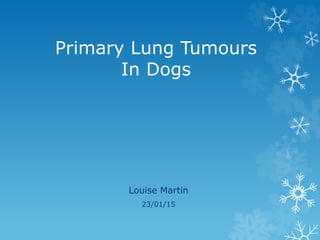 Primary Lung Tumours
In Dogs
Louise Martin
23/01/15
 