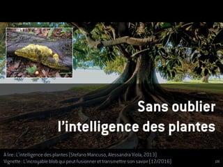 À lire : L’intelligence des plantes (Stefano Mancuso, Alessandra Viola, 2013)
Vignette : L’incroyable blob qui peut fusion...