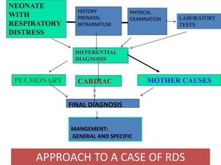 NEONATE
WITH
RESPIRATORY
DISTRESS
LABORATORY
TESTS
DIFFERENTIAL
DIAGNOSIS
CARDIACPULMONARY MOTHER CAUSES
HISTORY
PRENATAL
INTRAPARTUM
PHYSICAL
EXAMNATION
FINAL DIAGNOSIS
MANGEMENT:
GENERAL AND SPECIFIC
APPROACH TO A CASE OF RDS
 