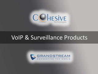 VoIP & Surveillance Products
 