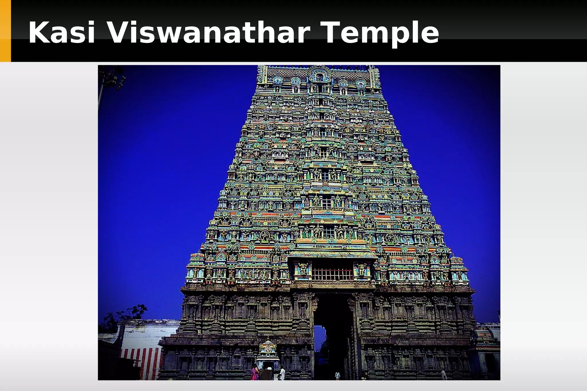 Kasi Viswanathar Temple

 