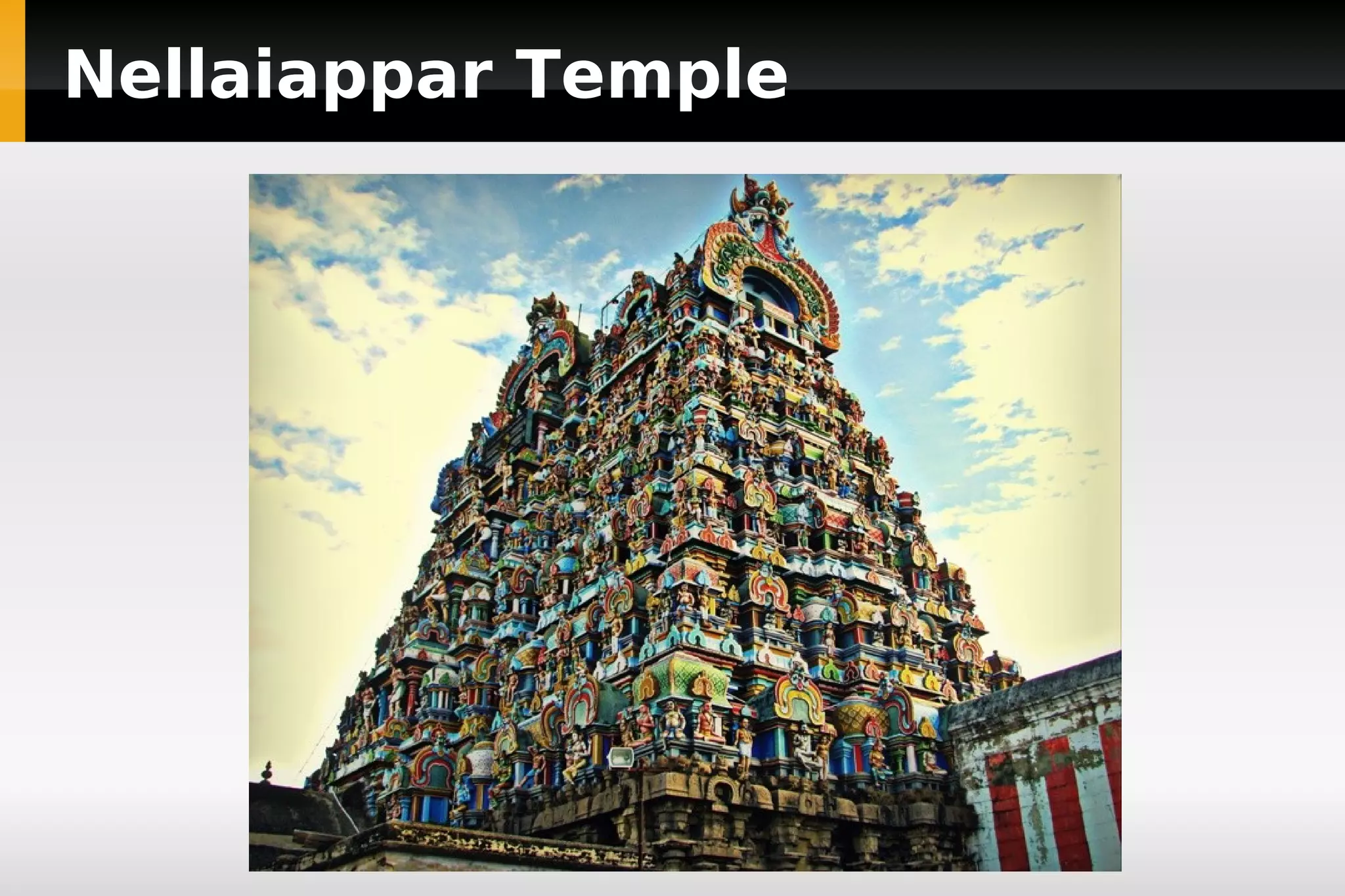 Nellaiappar Temple

 