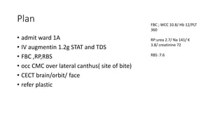 Plan
• admit ward 1A
• IV augmentin 1.2g STAT and TDS
• FBC ,RP,RBS
• occ CMC over lateral canthus( site of bite)
• CECT brain/orbit/ face
• refer plastic
FBC ; WCC 10.8/ Hb 12/PLT
360
RP:urea 2.7/ Na 141/ K
3.8/ creatinine 72
RBS :7.6
 