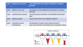 STAGE
1
PRESEPTAL CELLULITIS INFLAMMATION AND EDEMA ANTERIOR TO ORBITAL
SEPTUM
STAGE
2
ORBITAL CELLULITIS EXTENSION OF INFLAMMATION POSTERIOR TO ORBITAL
SEPTUM
STAGE
3
SUBPERIOSTEAL ABCESS MUCOPURULENT BETWEEN THE PERIORBITA AND BONY
PART
STAGE
4
ORBITAL ABCESS COLLECTION WITHIN THE ORBITAL CONTENT
STAGE
5
CAVERNOUS SINUS
THROMBOSIS
RETROGRADE PHLEBITIS AND COAGULATION OF
VASCULAR CONTENT EXTENDING INTO CAVERNOUS SINUS
 