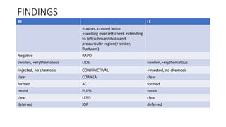 FINDINGS
RE LE
+rashes, crusted lesion
+swelling over left cheek extending
to left submandibularand
preauricular region(+tender,
fluctuant)
Negative RAPD
swollen, +erythematous LIDS swollen,+erythematous
injected, no chemosis CONJUNCTIVAL +injected, no chemosis
clear CORNEA clear
formed AC formed
round PUPIL round
clear LENS clear
deferred IOP deferred
 