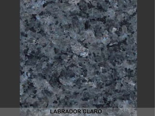 LABRADOR CLAROLABRADOR CLARO
 