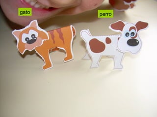 gato perro 