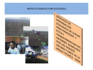 PROYECTO AGRICULTURA ECOLOGICA 