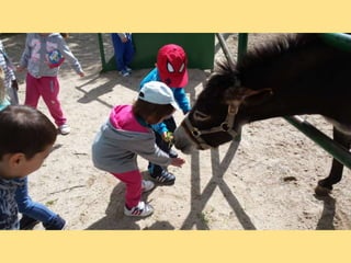 VISITA GRANJA1_INFANTIL_PEREDA_LEGANÉS