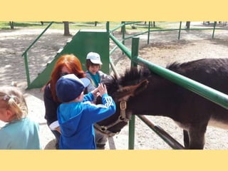 VISITA GRANJA1_INFANTIL_PEREDA_LEGANÉS