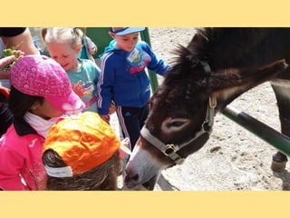 VISITA GRANJA1_INFANTIL_PEREDA_LEGANÉS