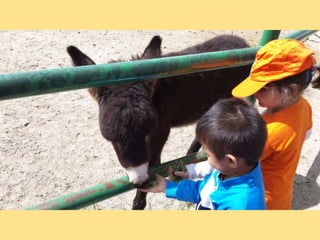 VISITA GRANJA1_INFANTIL_PEREDA_LEGANÉS
