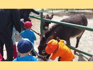 VISITA GRANJA1_INFANTIL_PEREDA_LEGANÉS