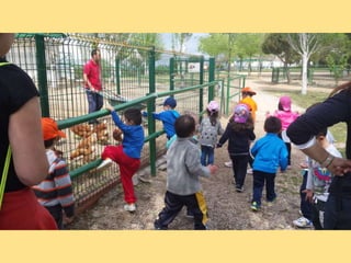 VISITA GRANJA1_INFANTIL_PEREDA_LEGANÉS