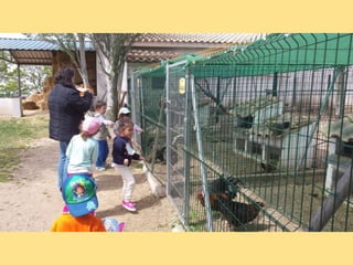 VISITA GRANJA1_INFANTIL_PEREDA_LEGANÉS