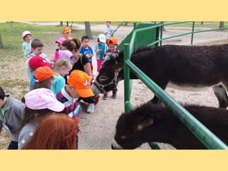 VISITA GRANJA1_INFANTIL_PEREDA_LEGANÉS