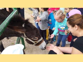 VISITA GRANJA1_INFANTIL_PEREDA_LEGANÉS