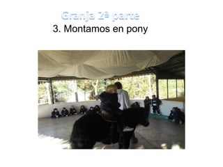 3. Montamos en pony

     en pony.
 