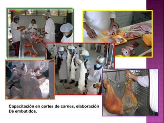 Capacitación en cortes de carnes, elaboración
De embutidos.
 