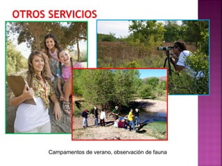 Campamentos de verano, observación de fauna
 