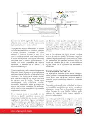 M a te r ia l r e c ic la d o : v id r io , p lá s tic o , m e ta l, p a p e l                                          S o l = c a le n ta m ie n to y
                                                                                                                                              e n e r g ía e lé c tr ic a

                                       A lim e n ta c ió n a n im a l/ p e c e s
                                                                                                                                                       L lu v ia = a g u a
                                                             A lim e n ta c ió n v e g e ta l

                                                                                                                            F o to c e ld a




                                                        F r u ta le s                                                                            C a p ta c ió n d e a g u a
                                                                                                                                                 d e llu v ia
                                                        H o r ta liz a s



                       E sta n q u e
                                                                                A g u a s n e g r a s : tr a ta m ie n to


                                                                              B a s u r a o r g á n ic a : c o m p o s ta je ,
                                                                                            b io d ig e s tió n


                                                                                B a s u r a in o r g á n ic a : r e c ic la je


                                                                                         M a n to s f r e á tic o s




    dependiendo de la región; los frutos pueden                                                  Las barreras vivas pueden proporcionar varios
    utilizarse para consumo directo o procesarse                                                 beneficios como producción de alimentos,
    para su conservación y venta posterior.                                                      protección contra vientos fuertes, madera, leña,
                                                                                                 postes, entre otros. Para este fin se pueden utilizar
    En un pequeño espacio del traspatio se pueden                                                especies forestales, frutales, arbustos forrajeros y de
    plantar diversas especies de hortalizas, cereales                                            otro tipo.
    y plantas forrajeras, cultivadas en forma
    intensiva o continua durante el año. Si la                                                   Para el uso eficiente del agua pueden utilizarse
    producción es abundante, parte de la cosecha                                                 técnicas de riego por goteo y microgoteo, riego con
    se puede utilizar para el consumo de la familia y                                            cubetas y riego con descargas controladas, las cuales
    otra parte para su venta o transformación. El                                                son alternativas que permiten controlar mejor los
    tamaño del huerto dependerá del espacio                                                      niveles de humedad en el suelo y combinarse en
    disponible, el tamaño de la familia y la                                                     algunos casos con la aplicación de fertilizantes o
    disponibilidad de agua.                                                                      insecticidas.

    El huerto de plantas medicinales incluye especies
    útiles para la cura de algunas enfermedades de
                                                                                                 Componente pecuario
    los integrantes de la familia; si la producción es                                           Las especies de animales como vacas, borregos,
    cuantiosa y los productos se pueden vender,                                                  cerdos, gallinas, conejos y abejas además de ofrecer
    estas especies pueden ser una fuente importante                                              carne, leche, lana, piel y miel, producen estiércol,
    de ingresos para la familia. Plantas como                                                    controlan plagas y malezas y diversifican las fuentes
    hierbabuena, ruda, albahaca, tomillo,                                                        de ingreso.
    manzanilla, bugambilia, sábila y romero son
                                                                                                 El ganado mayor puede estar estabulado en lugares
    algunas de las más conocidas. Sin embargo,
                                                                                                 no inundables, equipados con techo, comederos,
    existen muchas otras especies con reconocidas
                                                                                                 bebederos y camas. Para su alimentación se pueden
    propiedades curativas.
                                                                                                 utilizar forrajes de corte (alfalfa, ballico, ovillo)
    En un espacio único o intercaladas en los                                                    residuos de cosecha (maíz, avena, cebada) y
    cultivos, se pueden establecer especies con                                                  alimentos balanceados.
    propiedades insecticidas, que puedan controlar
                                                                                                 Los cerdos generalmente se asignan a un corral
    las plagas de los cultivos. Algunas plantas que
                                                                                                 especial, igualmente equipado con comederos y
    controlan insectos son: ajo, chile, mamey, nim,
                                                                                                 bebederos. Su alimentación considera desechos
    tabaco, eucalipto, flor de muerto, hierbabuena,
                                                                                                 domésticos, residuos agroindustriales y alimentos
    ajenjo, guanábana, ortiga, epazote y albahaca.


4   Sistema de Agronegocios de Traspatio
 