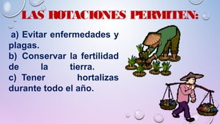 LAS ROTACIONES PERMITEN:
 a) Evitar enfermedades y
plagas.
b) Conservar la fertilidad
de la tierra.
c) Tener hortalizas
durante todo el año.
 