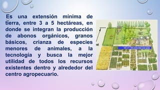  Es una extensión mínima de
tierra, entre 3 a 5 hectáreas, en
donde se integran la producción
de abonos orgánicos, granos
básicos, crianza de especies
menores de animales, a la
tecnología y busca la mejor
utilidad de todos los recursos
existentes dentro y alrededor del
centro agropecuario.
 