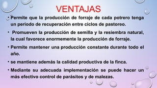 VENTAJAS
• Permite que la producción de forraje de cada potrero tenga
un periodo de recuperación entre ciclos de pastoreo.
• Promueven la producción de semilla y la resiembra natural,
la cual favorece enormemente la producción de forraje.
• Permite mantener una producción constante durante todo el
año.
• se mantiene además la calidad productiva de la finca.
• Mediante su adecuada implementación se puede hacer un
más efectivo control de parásitos y de malezas.
 