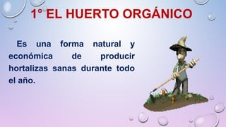 1° EL HUERTO ORGÁNICO
Es una forma natural y
económica de producir
hortalizas sanas durante todo
el año.
 