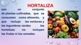 HORTALIZA
son un conjunto
de plantas cultivadas, que se
consumen como alimento, y
que incluye las verduras y
las legumbres verdes . las
hortalizas no incluyen
las frutas ni los cereales.
 