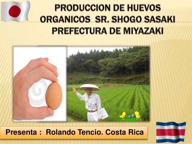 Curso ao