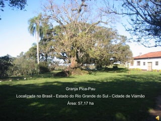Granja Pica-Pau
Localizada no Brasil - Estado do Rio Grande do Sul - Cidade de Viamão
Área: 57,17 ha
 