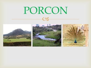 PORCON
  
 