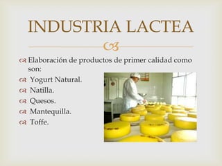 INDUSTRIA LACTEA
         
 Elaboración de productos de primer calidad como
  son:
 Yogurt Natural.
 Natilla.
 Quesos.
 Mantequilla.
 Toffe.
 
