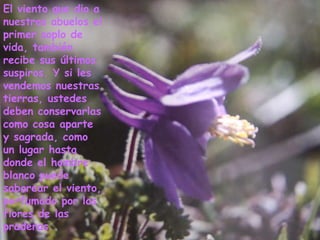 El viento que dio a nuestros abuelos el primer soplo de vida, también recibe sus últimos suspiros. Y si les vendemos nuestras tierras, ustedes deben conservarlas como cosa aparte y sagrada, como un lugar hasta donde el hombre blanco puede saborear el viento, perfumado por las flores de las praderas. 