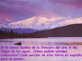 Si no somos dueños de la frescura del aire ni del fulgor de las aguas. ¿Cómo podrán ustedes comprarlos? Cada parcela de esta tierra es sagrada para mi pueblo. 
