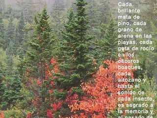 Cada brillante mata de pino, cada grano de arena en las playas, cada gota de rocío en los oscuros bosques, cada altozano y hasta el sonido de cada insecto, es sagrado a la memoria y al pasado de mi pueblo 