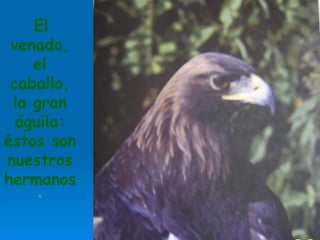 El venado, el caballo, la gran águila: éstos son nuestros hermanos . 