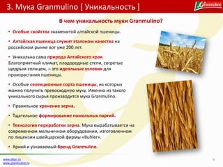 3. Мука Granmulino [ Уникальность ]
6www.altan.ru
www.granmulino.ru
• Особые свойства знаменитой алтайской пшеницы.
• Алтайская пшеница служит эталоном качества на
российском рынке вот уже 200 лет.
• Уникальна сама природа Алтайского края.
Благоприятный климат, плодородные степи, согретые
щедрым солнцем, – это идеальные условия для
произрастания пшеницы.
• Особые селекционные сорта пшеницы, из которых
можно получить превосходную муку. Именно из такого
уникального сырья производится мука Granmulino.
• Правильное хранение зерна.
• Тщательное формирование помольных партий.
• Технология переработки зерна. Мука вырабатывается на
современном мельничном оборудовании, изготовленном
по лицензии швейцарской фирмы «Buhler».
• Яркий и узнаваемый бренд Granmulino.
В чем уникальность муки Granmulino?
 