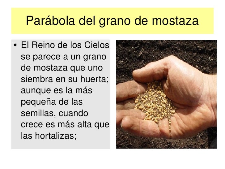 Asd para la persona a la eccema