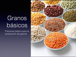 Granos
básicos
Prácticas básica para la
producción de granos
 